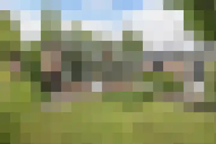 Buitenom 7 Bant thumbnail 58