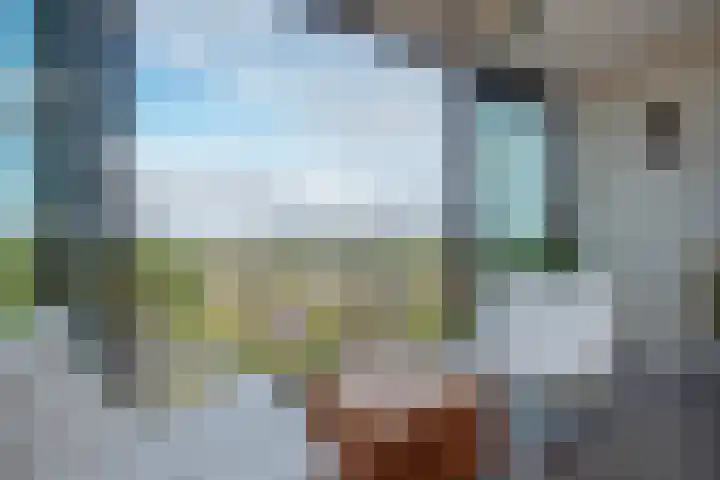 Buitenom 93 Zoetermeer thumbnail 15