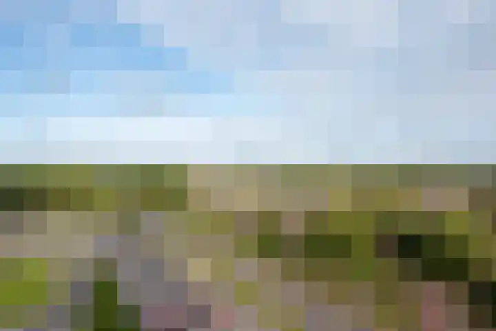 Buitenom 93 Zoetermeer thumbnail 16