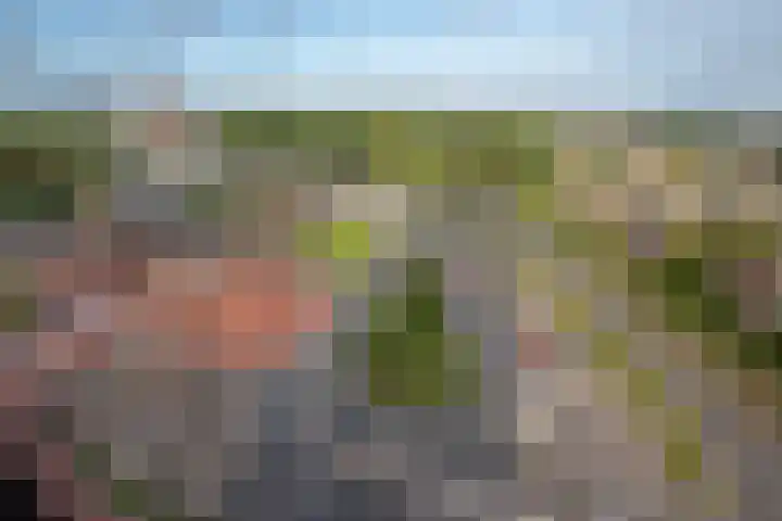 Buitenom 93 Zoetermeer thumbnail 18
