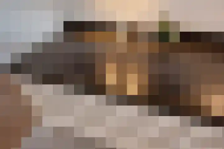 Buitenom 93 Zoetermeer thumbnail 24