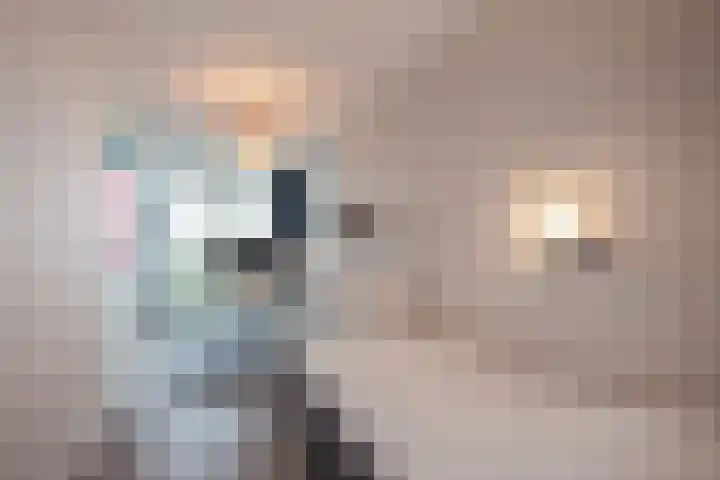 Buitenom 93 Zoetermeer thumbnail 29