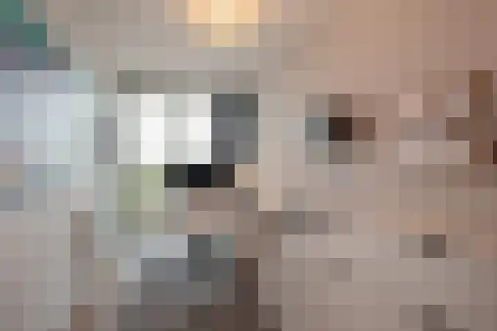 Buitenom 93 Zoetermeer thumbnail 30
