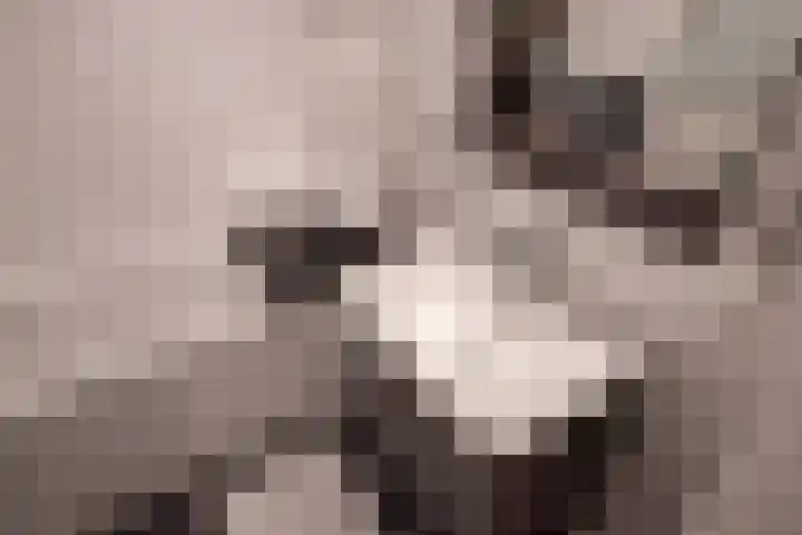 Buitenom 93 Zoetermeer thumbnail 32