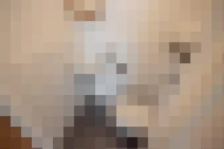 Buitenom 93 Zoetermeer thumbnail 34