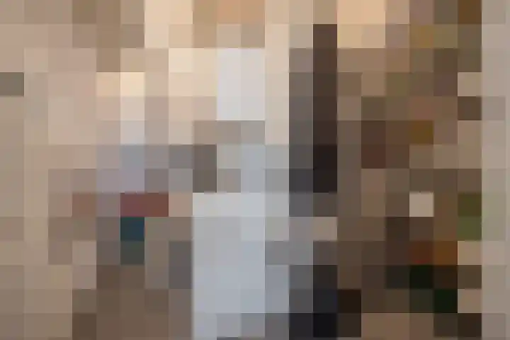 Buitenom 93 Zoetermeer thumbnail 35