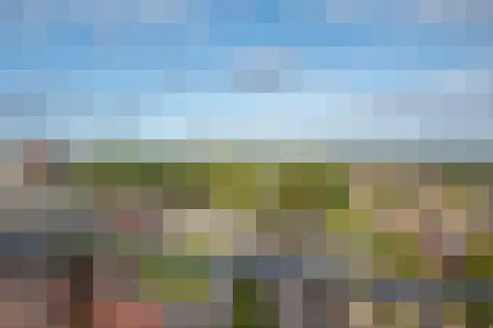 Buitenom 93 Zoetermeer thumbnail 4