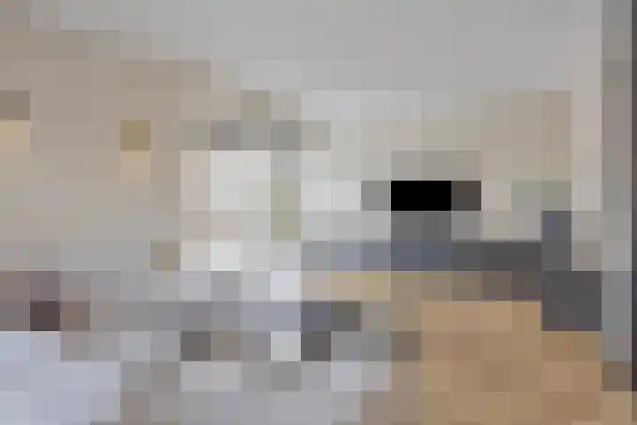Buitenpas 10 Heesch thumbnail 14