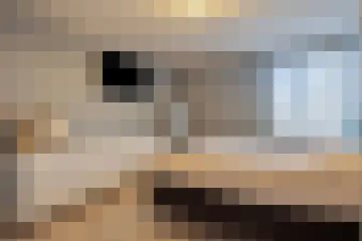 Buitenpas 10 Heesch thumbnail 31
