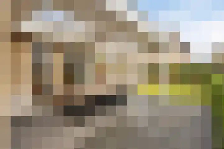 Buitenpas 10 Heesch thumbnail 40