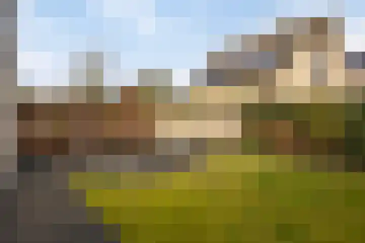 Buitenpas 10 Heesch thumbnail 43