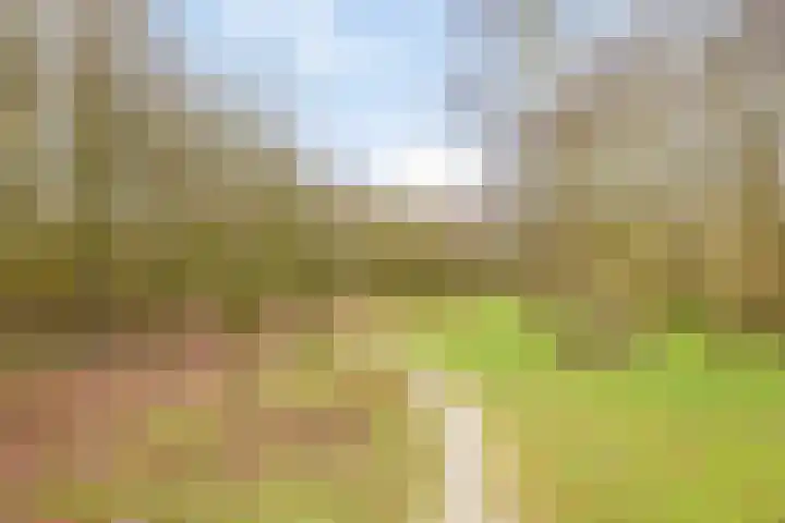 Buitenpas 10 Heesch thumbnail 49