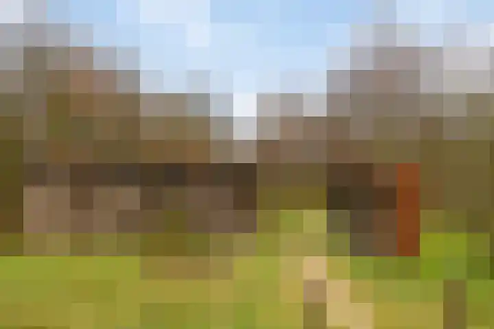 Buitenpas 10 Heesch thumbnail 50