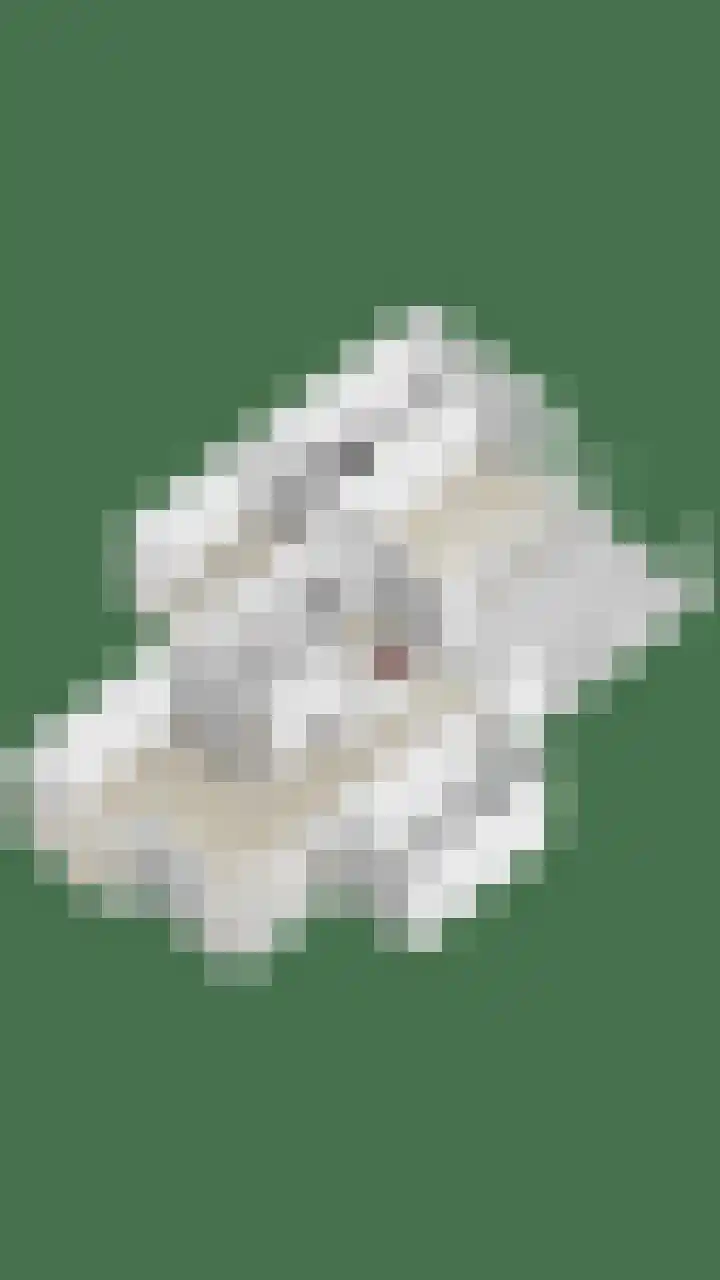Buitenpas 10 Heesch thumbnail 54