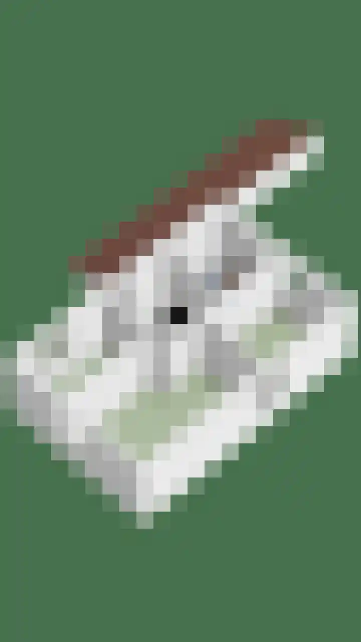 Buitenpas 10 Heesch thumbnail 56