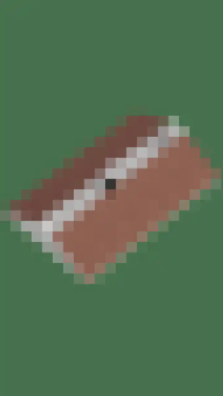 Buitenpas 10 Heesch thumbnail 58