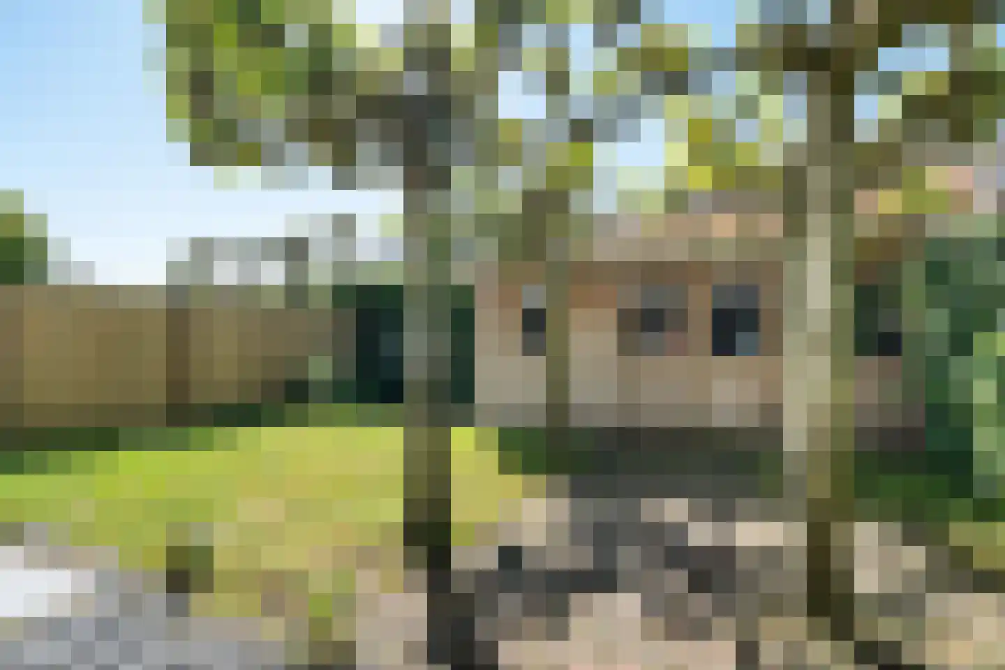Buitenpas 15 Heesch thumbnail 30