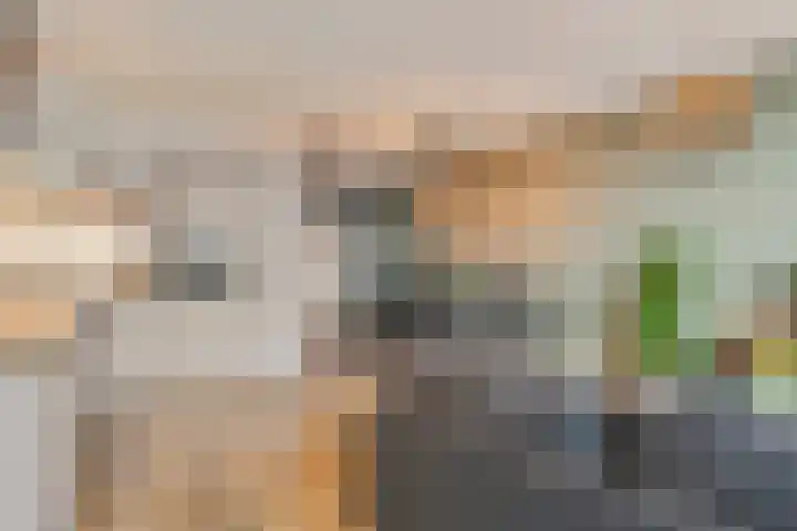 Buitenpepersdreef 105 's-Hertogenbosch thumbnail 15