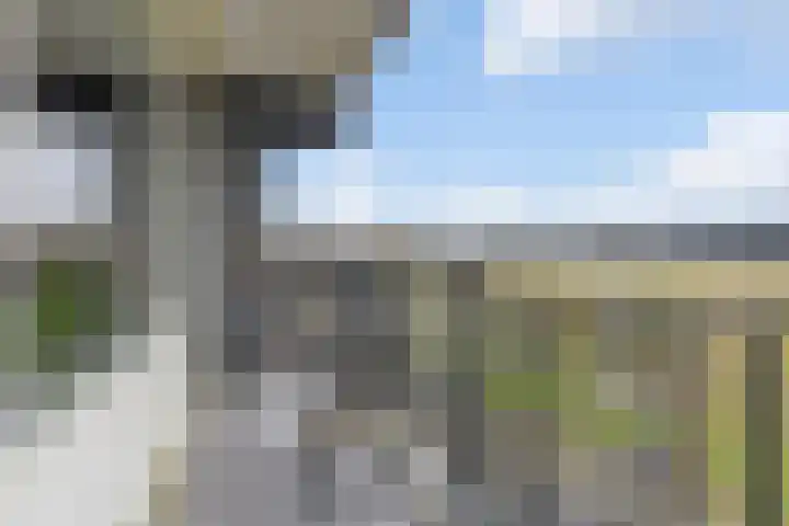 Buitenpepersdreef 105 's-Hertogenbosch thumbnail 19