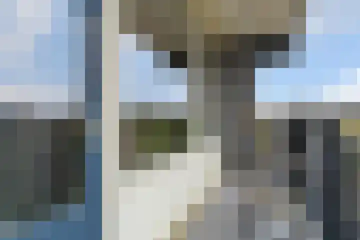 Buitenpepersdreef 105 's-Hertogenbosch thumbnail 20