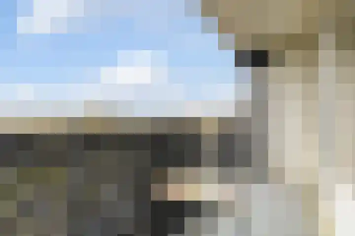 Buitenpepersdreef 105 's-Hertogenbosch thumbnail 21