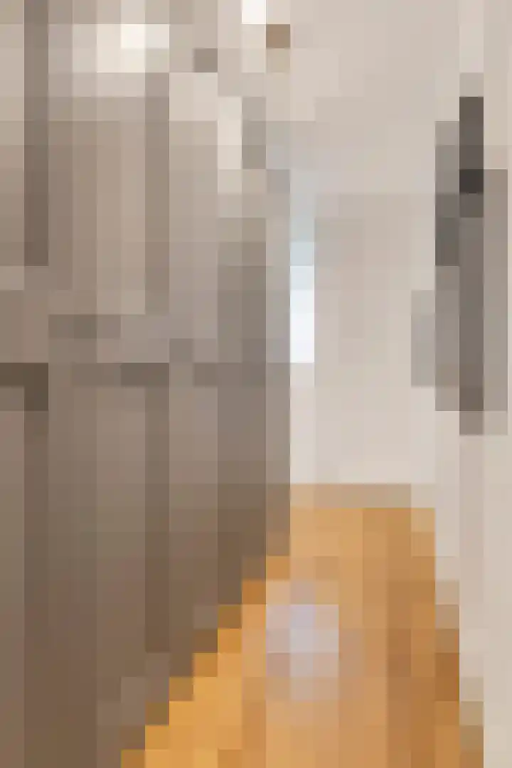 Buitenpepersdreef 105 's-Hertogenbosch thumbnail 7