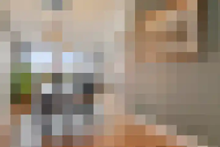 Buitenpepersdreef 105 's-Hertogenbosch thumbnail 9