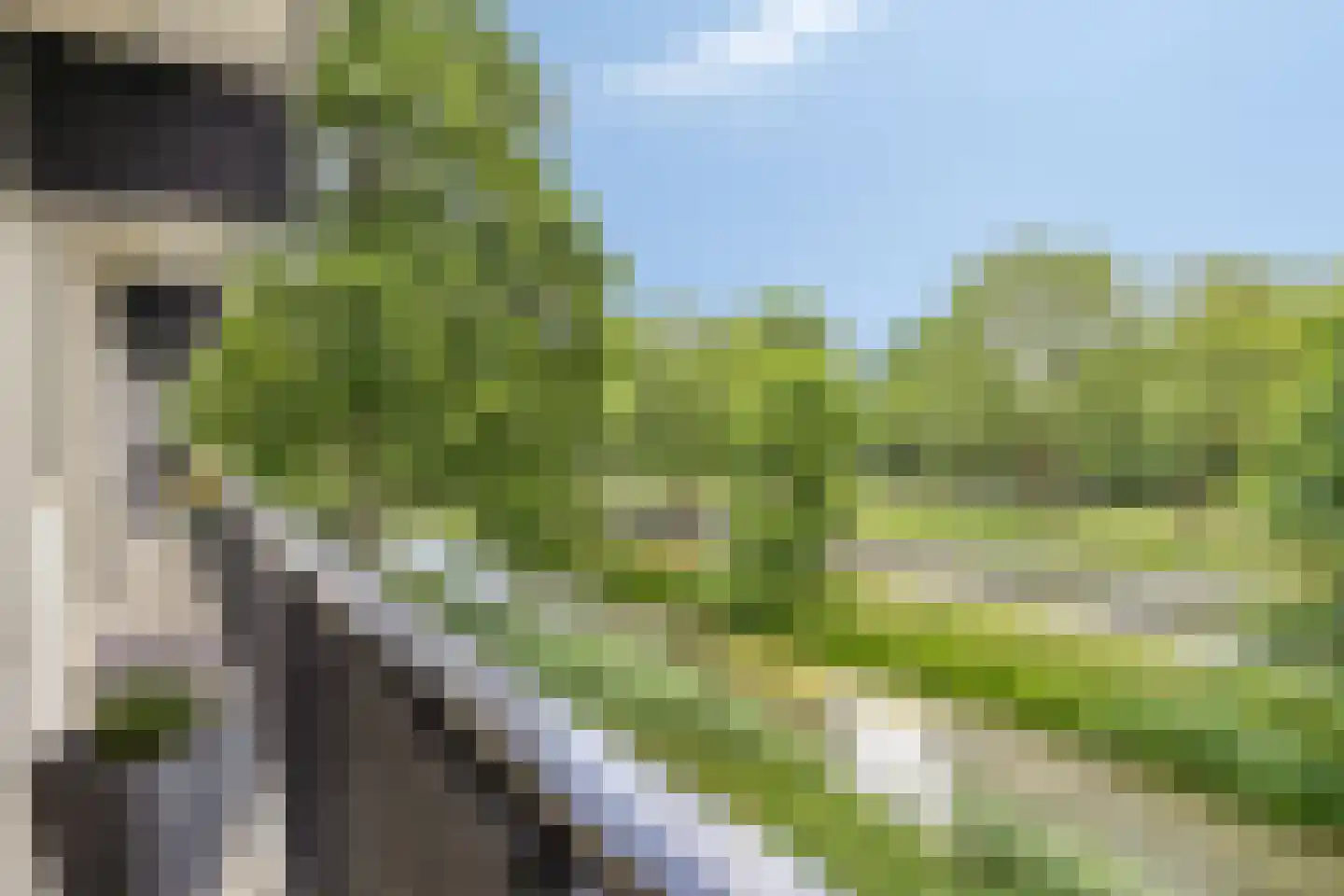 Buitenpepersdreef 139 's-Hertogenbosch thumbnail 16
