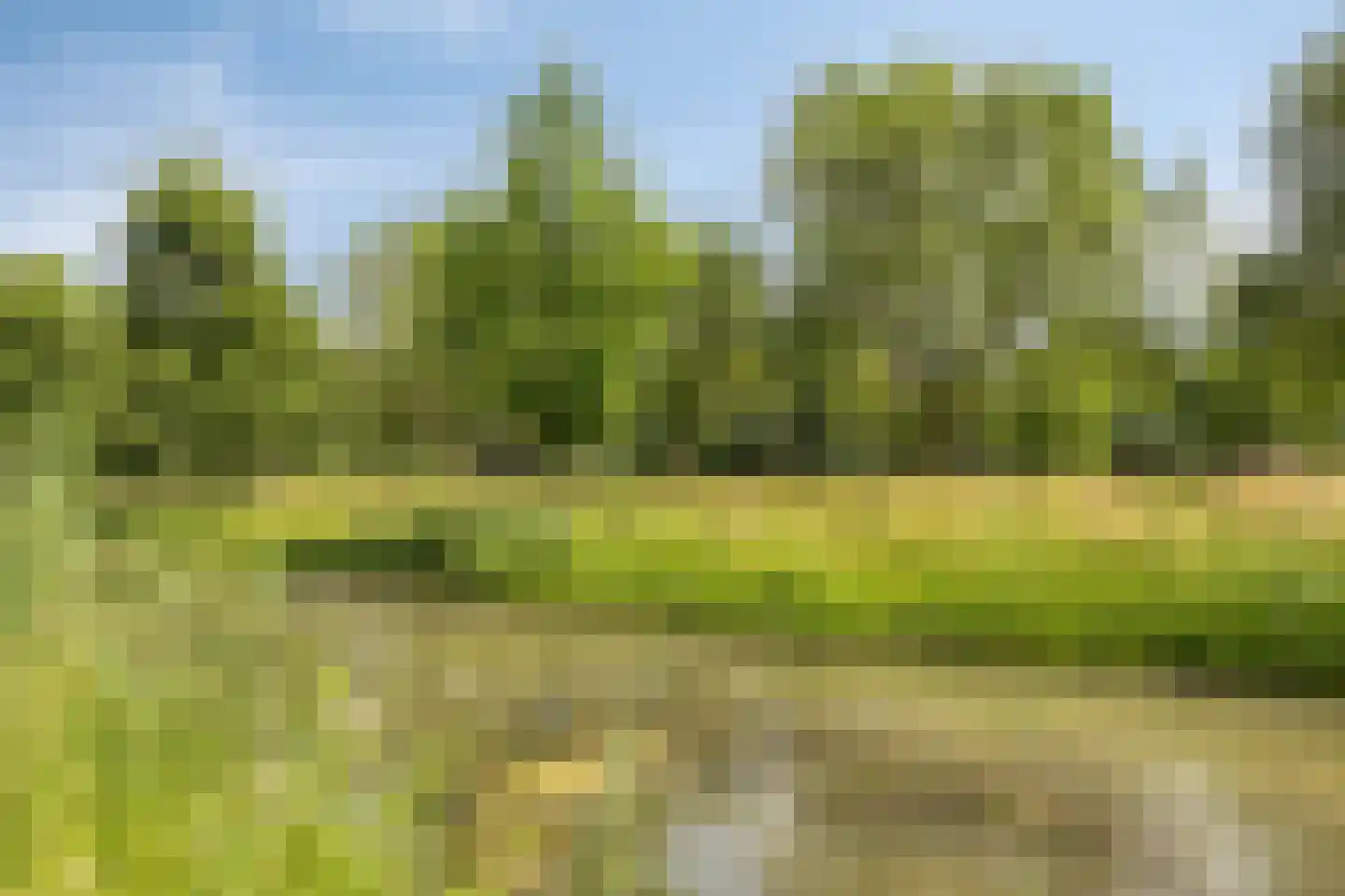 Buitenpepersdreef 139 's-Hertogenbosch thumbnail 18