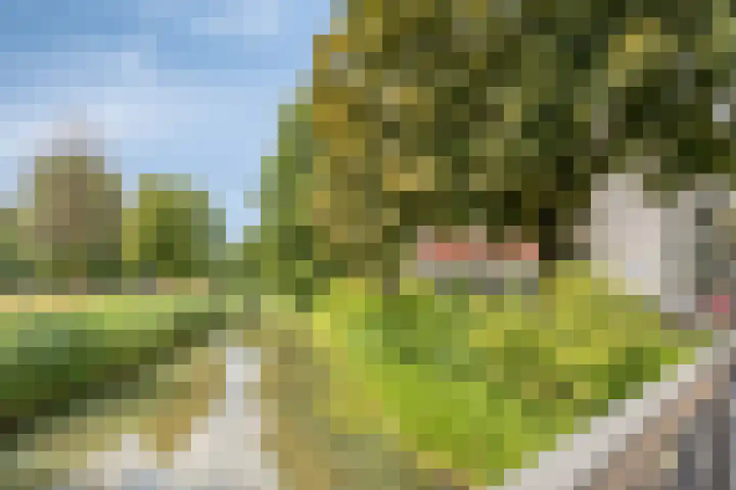 Buitenpepersdreef 139 's-Hertogenbosch thumbnail 19