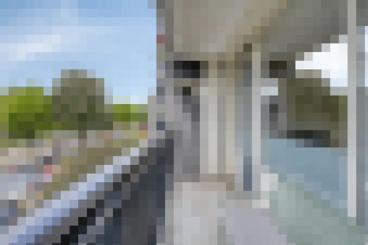 Buitenpepersdreef 139 's-Hertogenbosch thumbnail 5