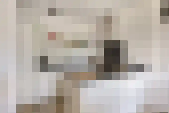 Buitenpepersdreef 141 's-Hertogenbosch thumbnail 10