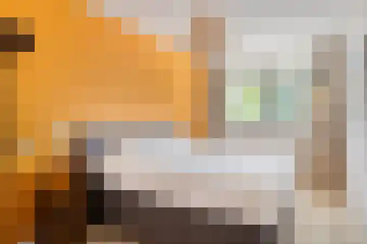 Buitenpepersdreef 141 's-Hertogenbosch thumbnail 13