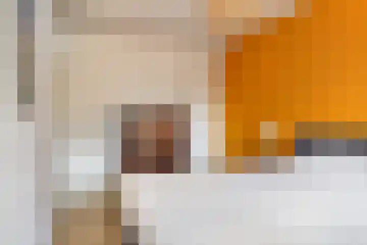 Buitenpepersdreef 141 's-Hertogenbosch thumbnail 14
