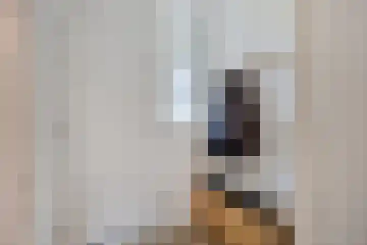 Buitenpepersdreef 141 's-Hertogenbosch thumbnail 19