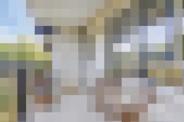 Buitenpepersdreef 141 's-Hertogenbosch thumbnail 20