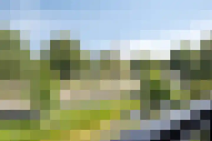 Buitenpepersdreef 141 's-Hertogenbosch thumbnail 21
