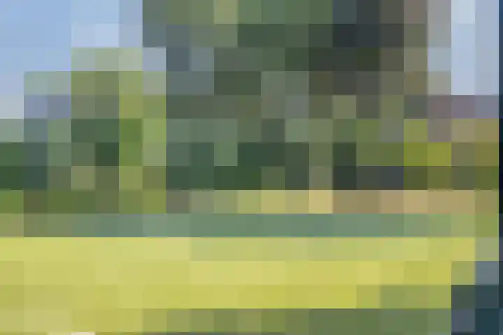 Buitenpepersdreef 141 's-Hertogenbosch thumbnail 24