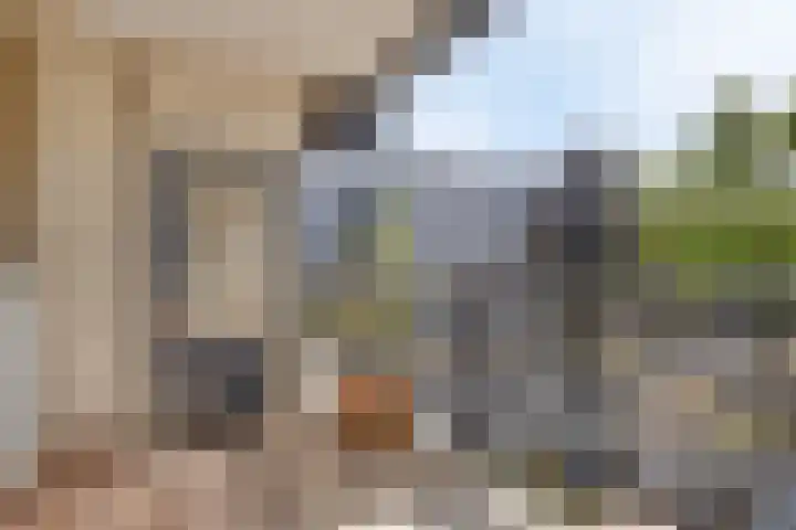 Buitenpepersdreef 141 's-Hertogenbosch thumbnail 6