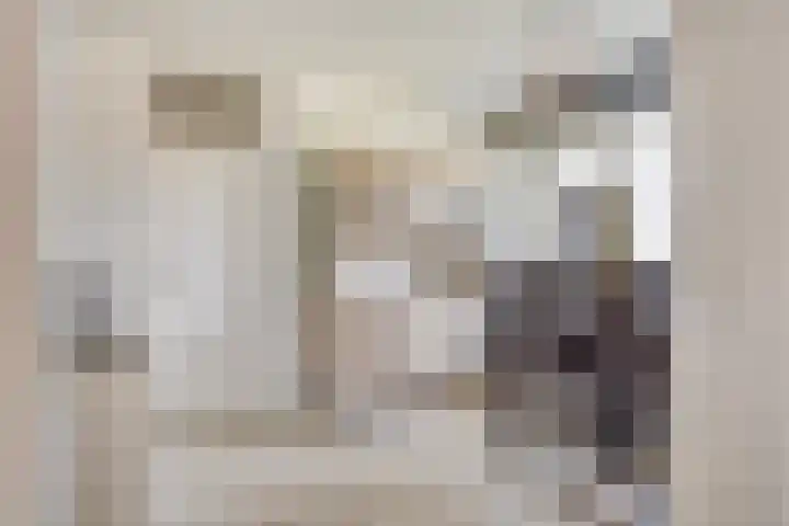 Buitenpepersdreef 141 's-Hertogenbosch thumbnail 9