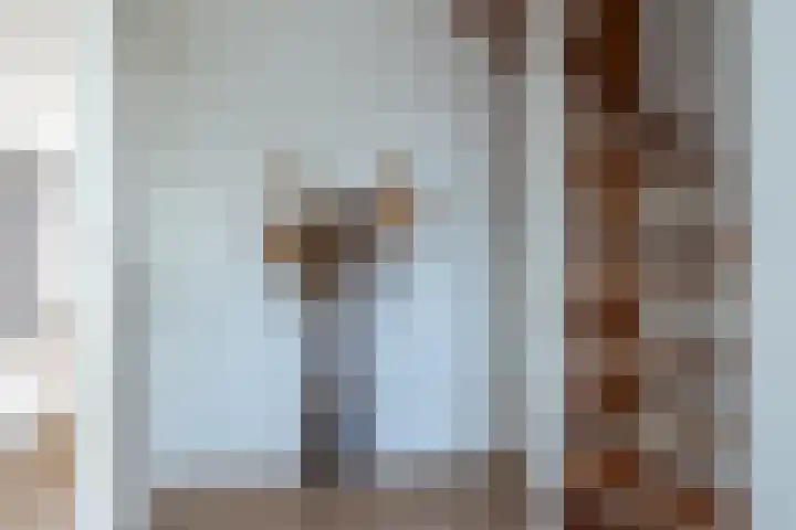 Buitenpepersdreef 150 's-Hertogenbosch thumbnail 13