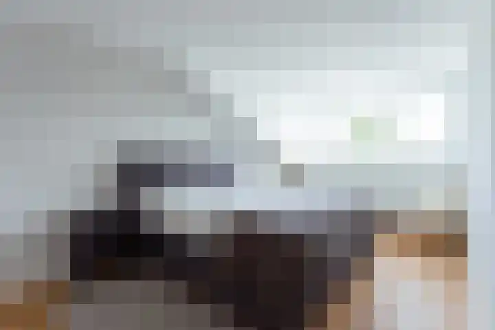 Buitenpepersdreef 150 's-Hertogenbosch thumbnail 14