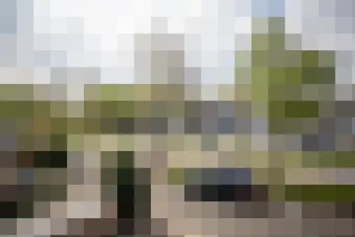 Buitenpepersdreef 150 's-Hertogenbosch thumbnail 20