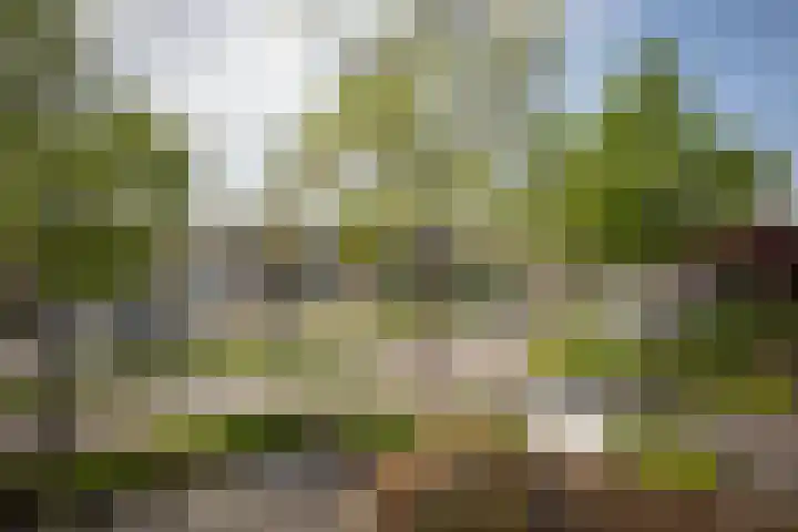 Buitenpepersdreef 150 's-Hertogenbosch thumbnail 21