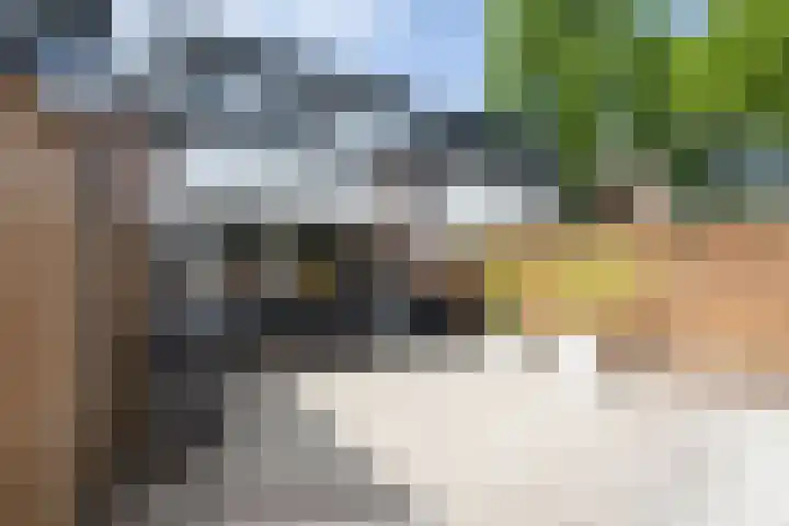 Buitenpepersdreef 150 's-Hertogenbosch thumbnail 29