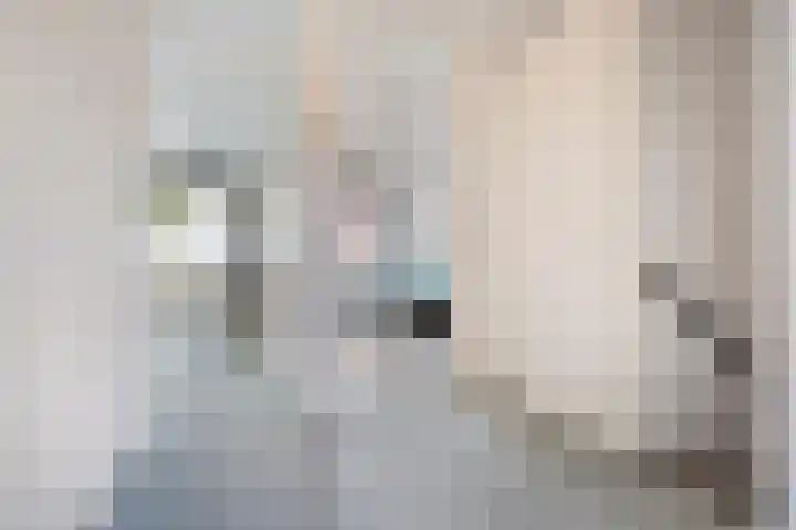 Buitenpepersdreef 160 's-Hertogenbosch thumbnail 23