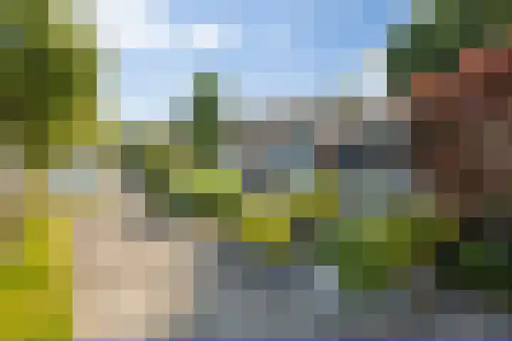 Buitenpepersdreef 160 's-Hertogenbosch thumbnail 25
