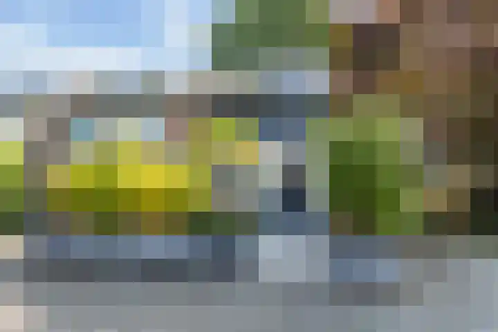 Buitenpepersdreef 160 's-Hertogenbosch thumbnail 29