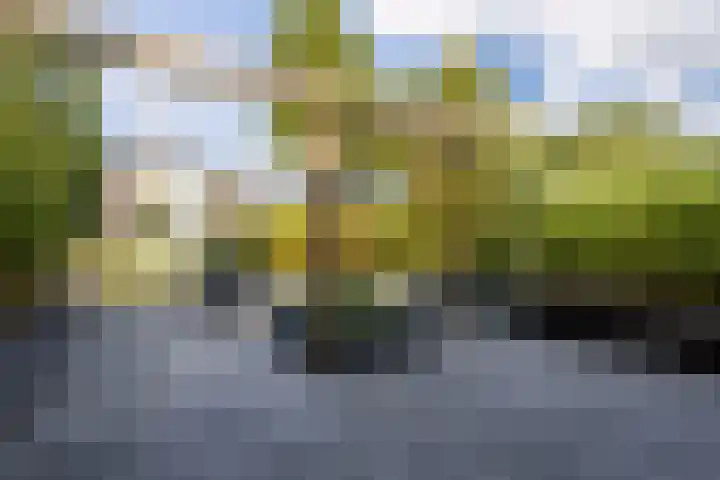 Buitenpepersdreef 160 's-Hertogenbosch thumbnail 30