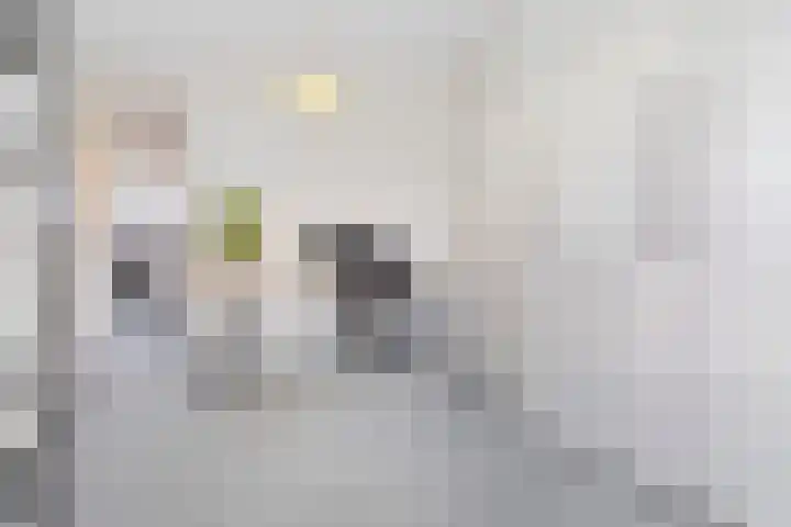Buitenpepersdreef 160 's-Hertogenbosch thumbnail 38